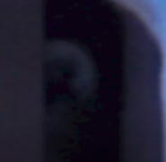 https://youtu.be/ubBl_WCjEFI